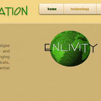 Enlivity.com